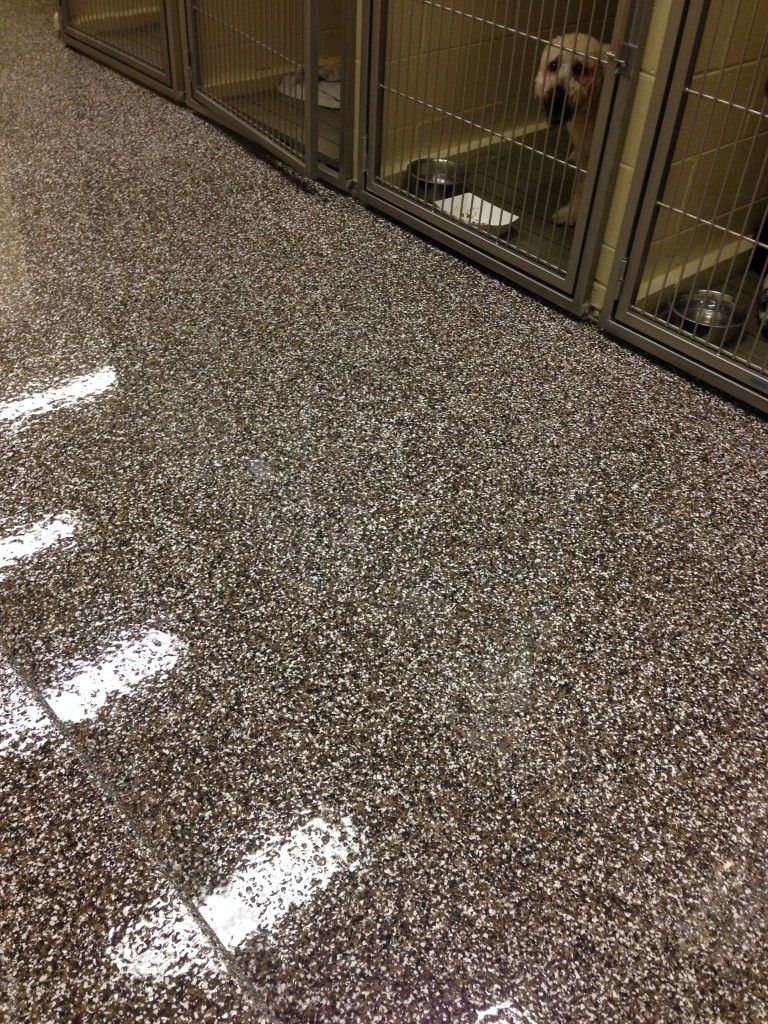 Epoxy-Shell 1000 Double Broadcast Flake System - Dark Earth
- R.L. Surfacing
